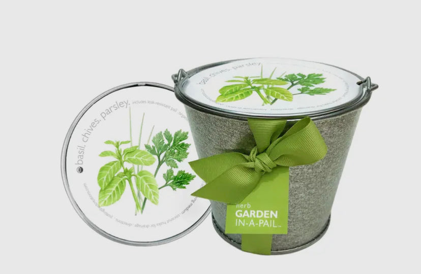Garden In a Pail