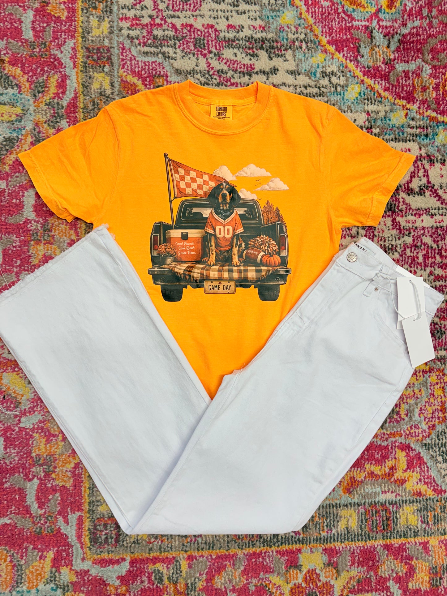 Vols Game Day Pup Tee
