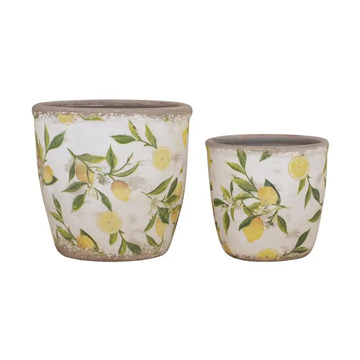 Citrus Grove Planters