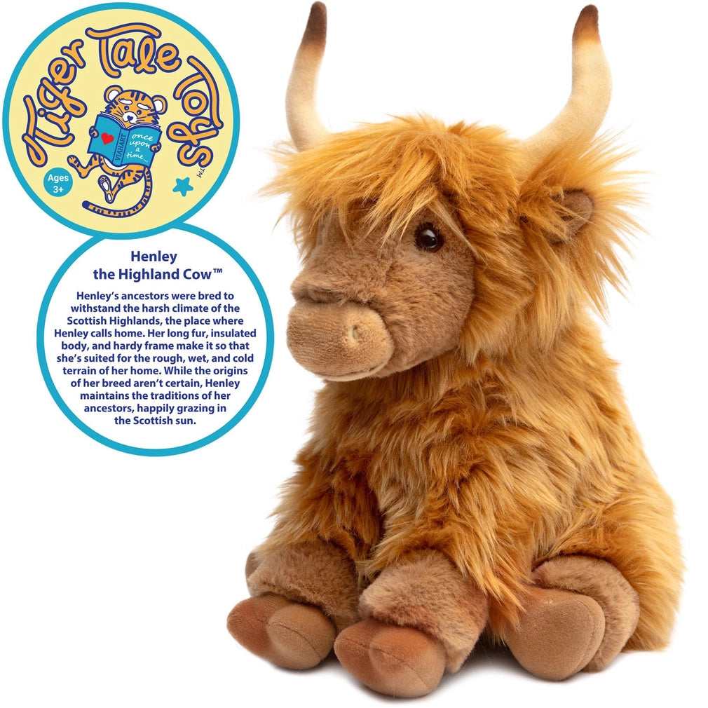 Henley the Highland Cow