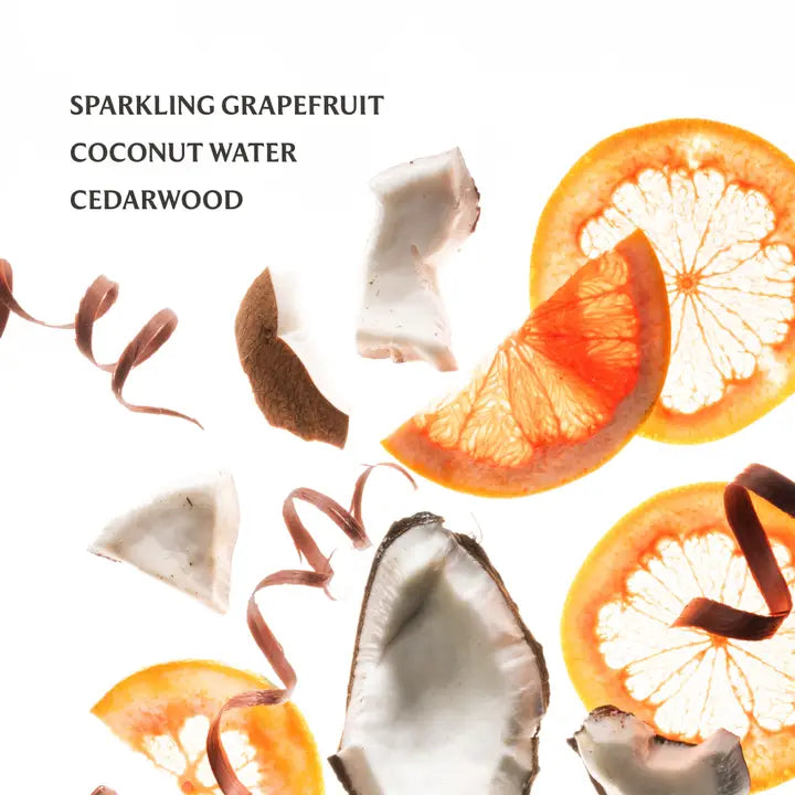 Beach Coco Power Mist Hand Sanitizer