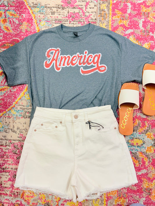 Gray America Tee