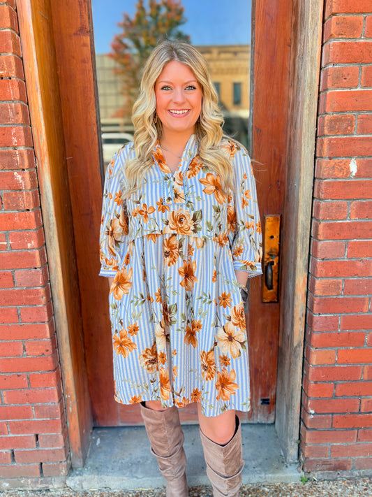 Striped Floral Printed Dress
